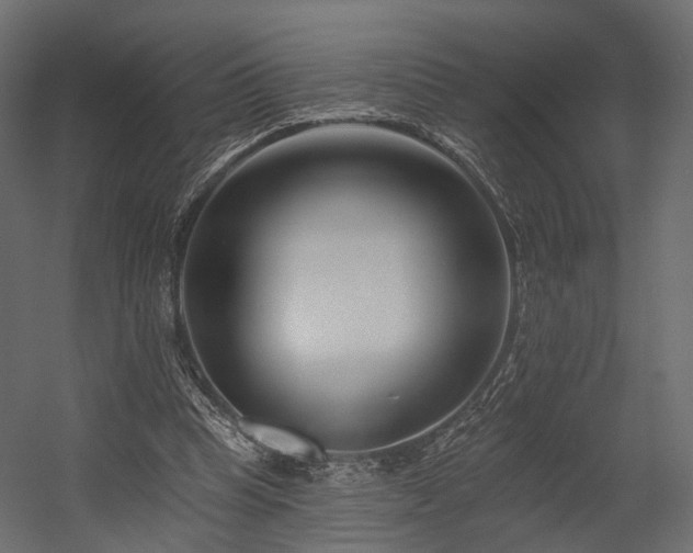 X0000054380345200507291123