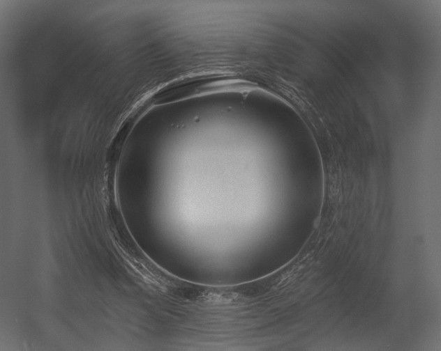 X0000054380346200507291123