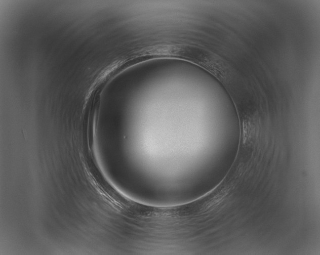 X0000054380349200507291123