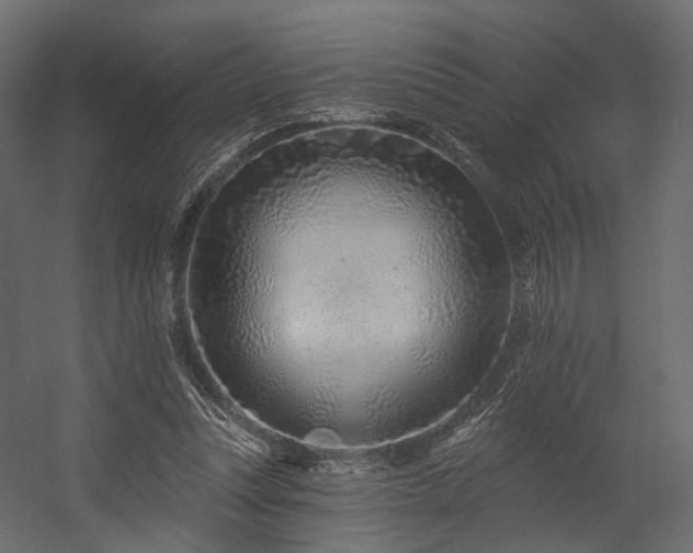 X0000054380351200507291123