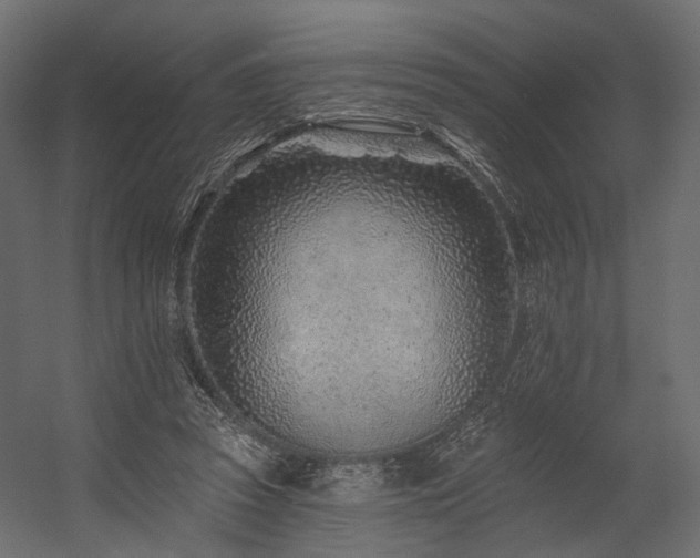 X0000054380353200507291123