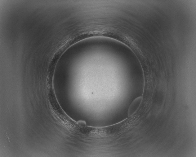 X0000054380354200507291123