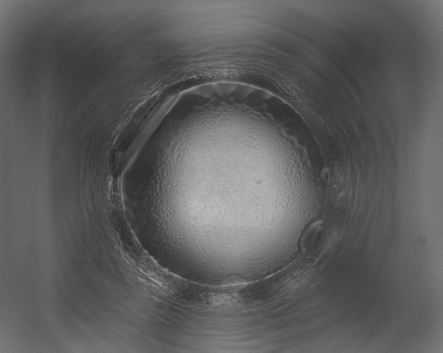 X0000054380355200507291123