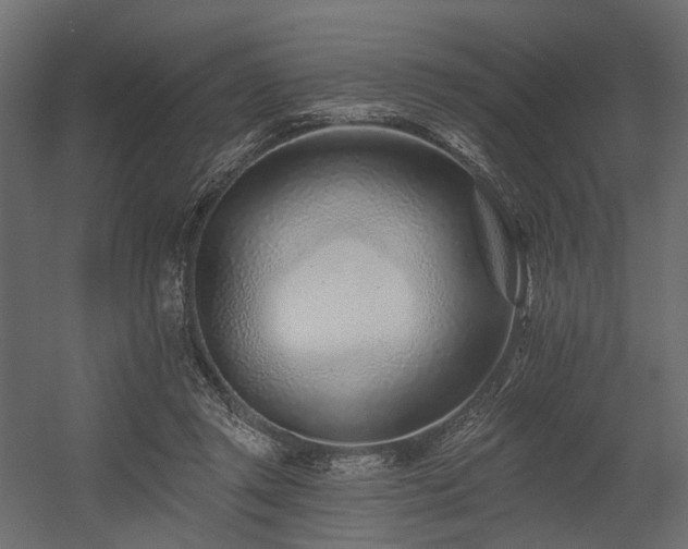 X0000054380357200507291123