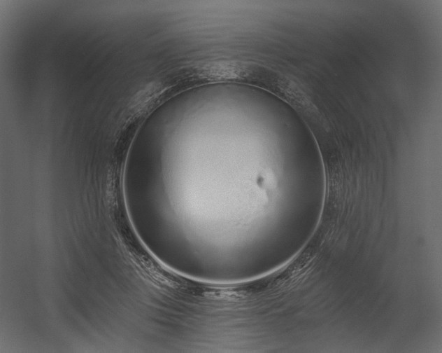 X0000054380359200507291123