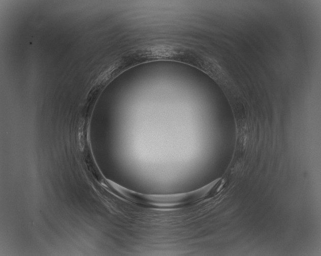 X0000054380360200507291123