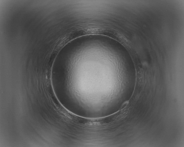 X0000054380361200507291123