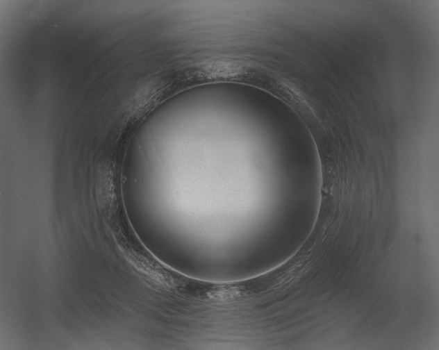 X0000054380362200507291123