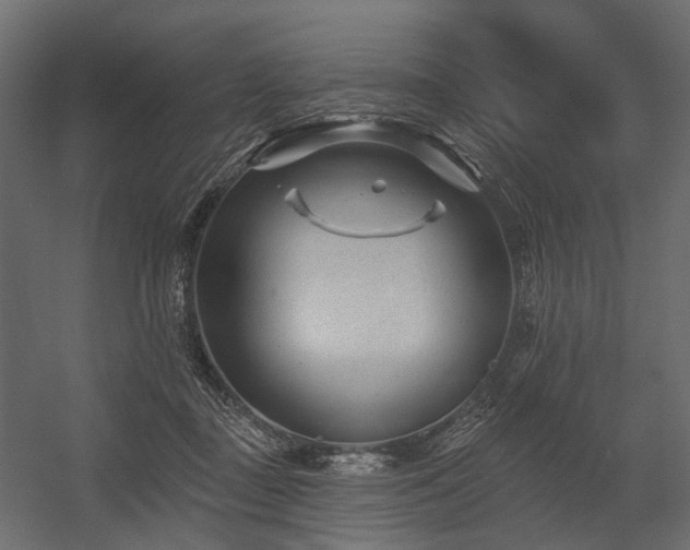 X0000054380363200507291123