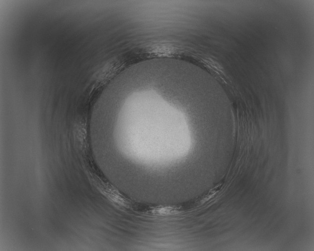 X0000054380365200507291123