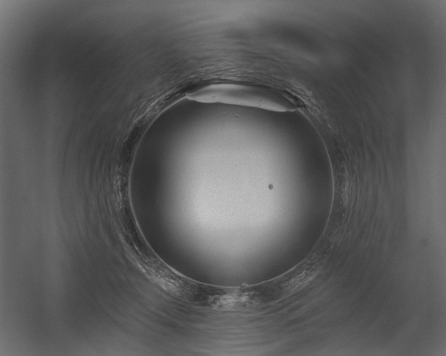 X0000054380366200507291123