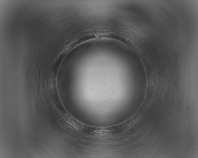 X0000054380367200507291123