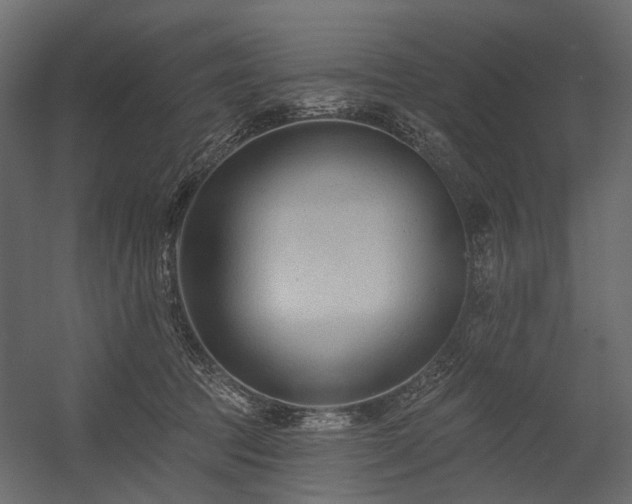 X0000054380369200507291123