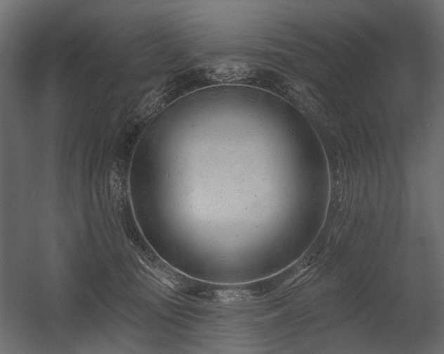 X0000054380371200507291124