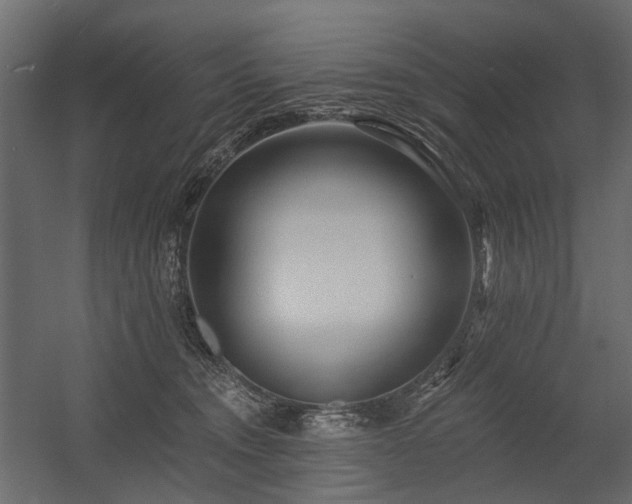 X0000054380372200507291124