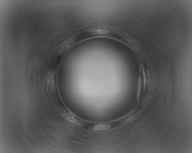X0000054380373200507291124