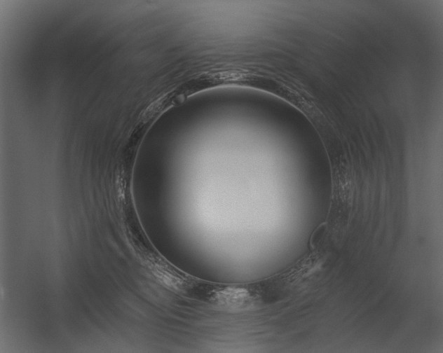 X0000054380374200507291124