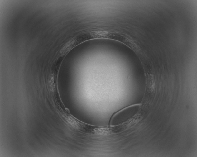 X0000054380378200507291124
