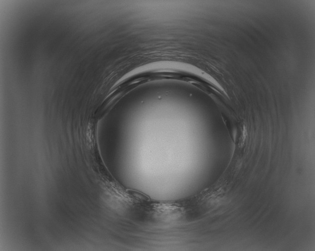 X0000054380380200507291124