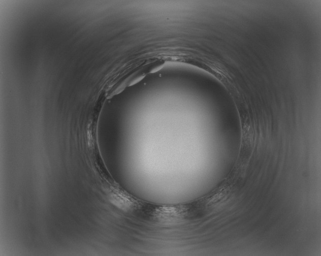 X0000054380381200507291124