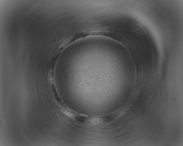X0000054380383200507291124