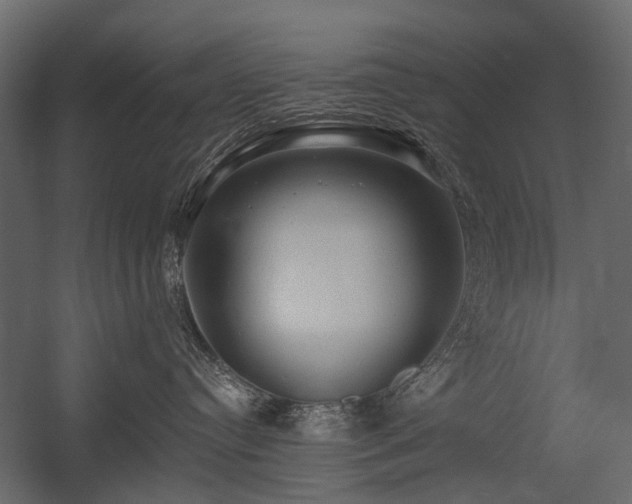 X0000054380384200507291124