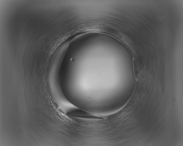 X0000054380385200507291123
