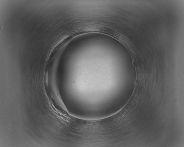 X0000054380386200507291123