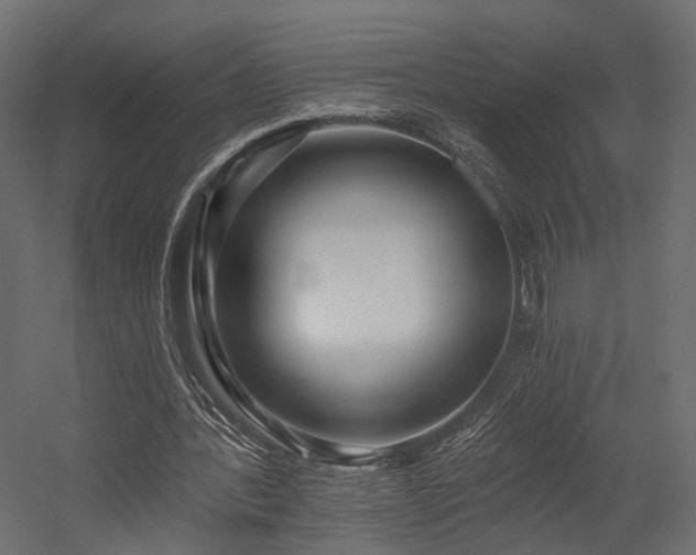 X0000054380388200507291123