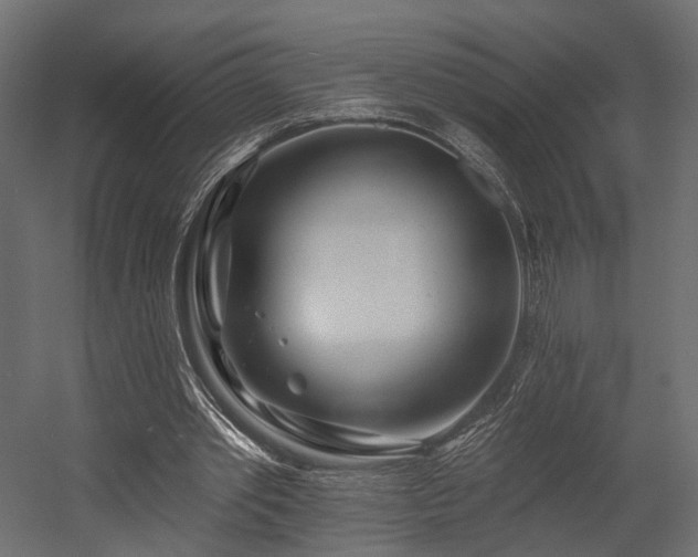 X0000054380389200507291123