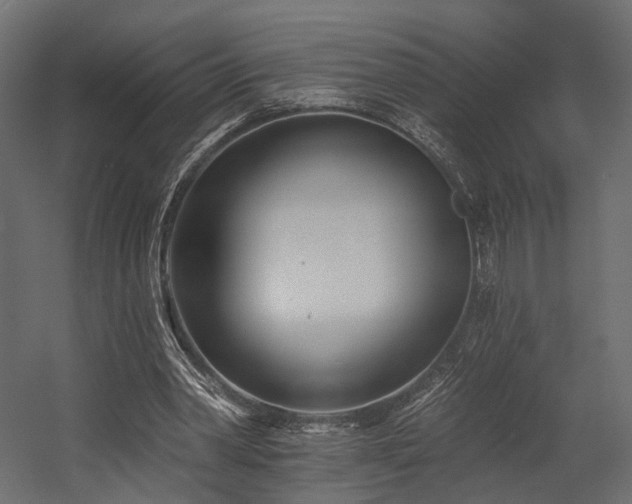 X0000054380390200507291123