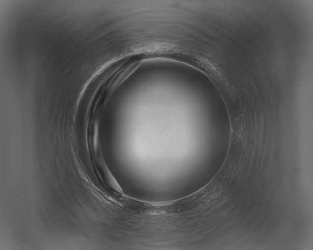 X0000054380392200507291123