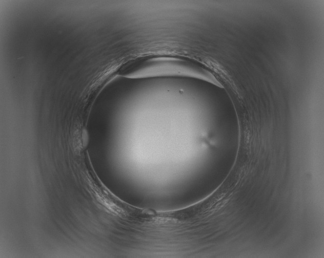 X0000054380393200507291123