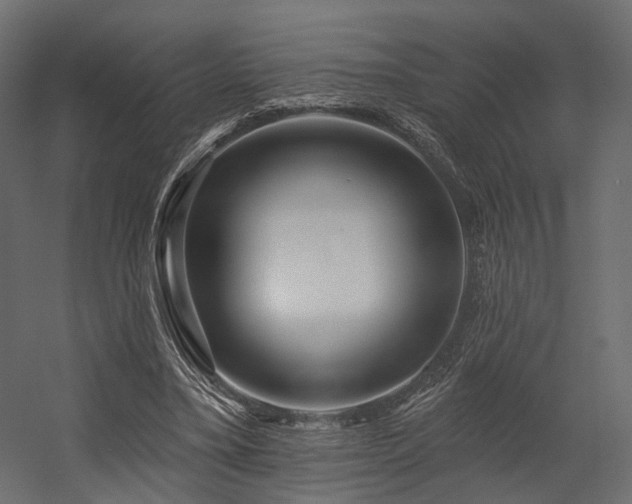 X0000054380395200507291123