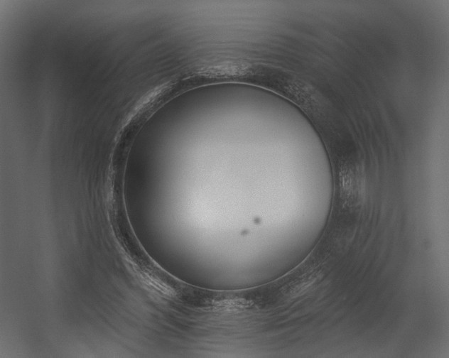 X0000054380396200507291123