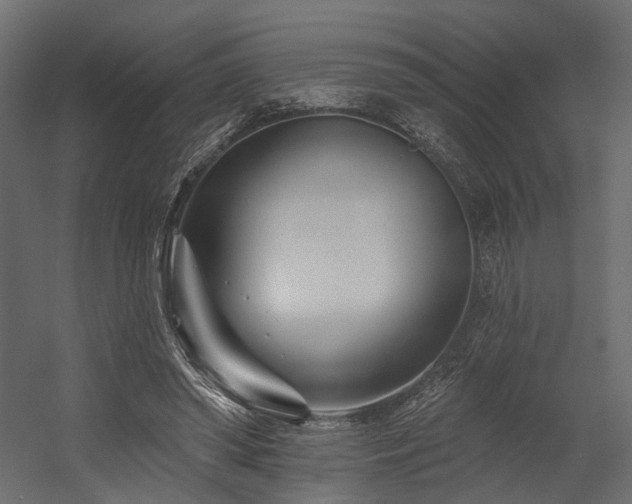 X0000054380398200507291123