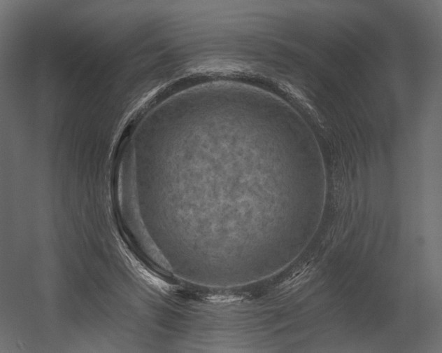 X0000054380399200507291123