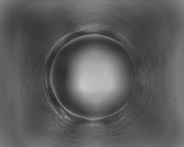 X0000054380400200507291123