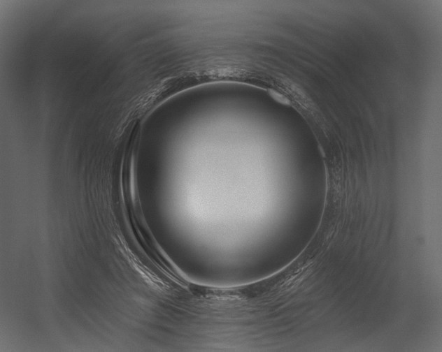 X0000054380401200507291123