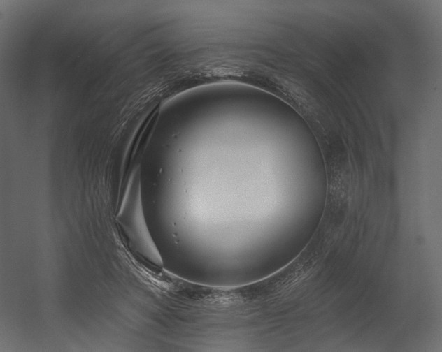 X0000054380402200507291123