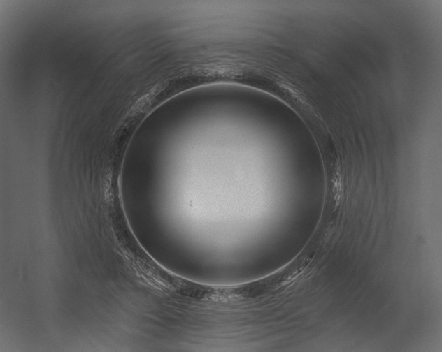 X0000054380403200507291123