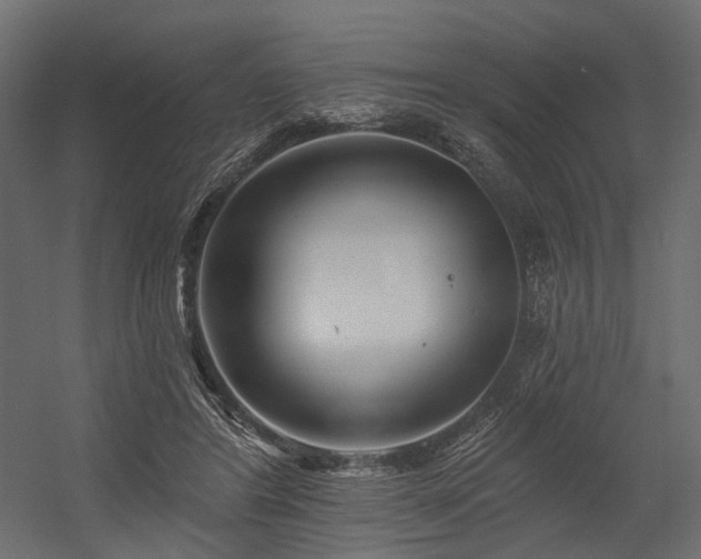 X0000054380404200507291123