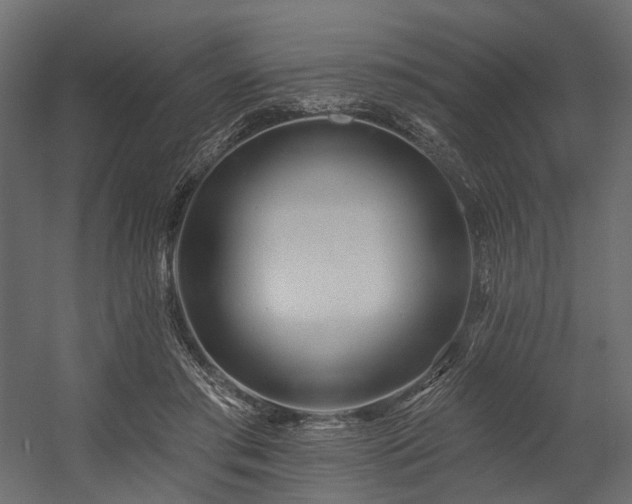 X0000054380405200507291123