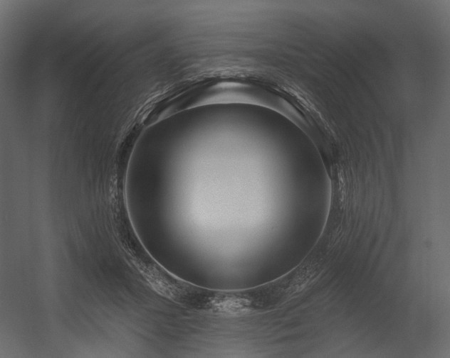 X0000054380407200507291123