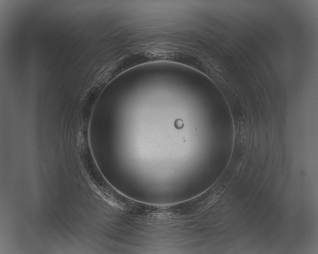 X0000054380408200507291123