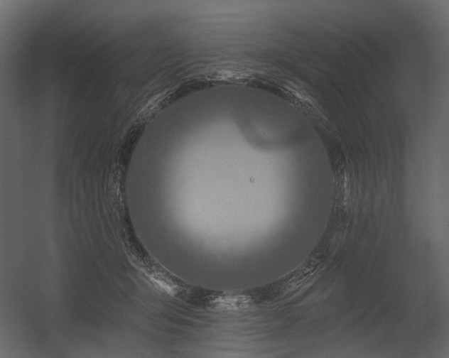 X0000054380415200507291122