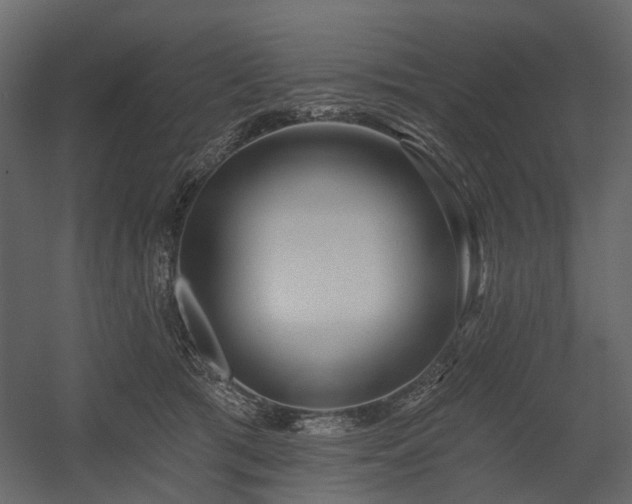 X0000054380417200507291122