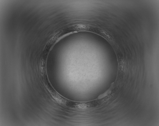 X0000054380423200507291122