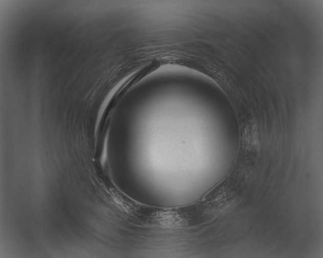 X0000054380424200507291122