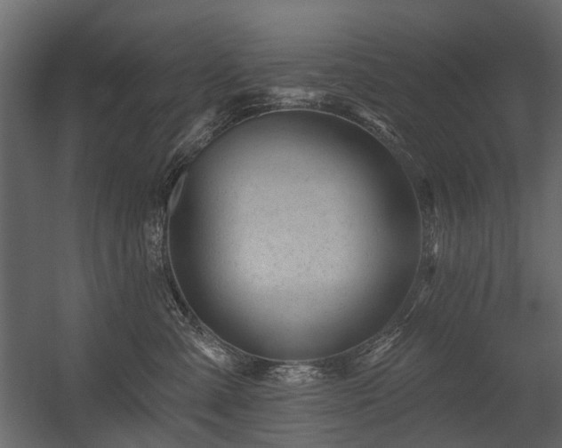 X0000054380427200507291122